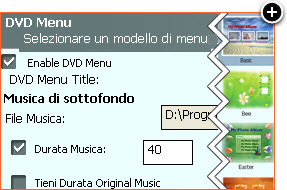 Masterizzate i video su supporto DVD