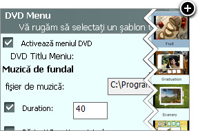 Copiar videos a Disco DVD