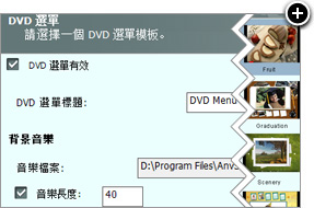 Burn Video to DVD Disc